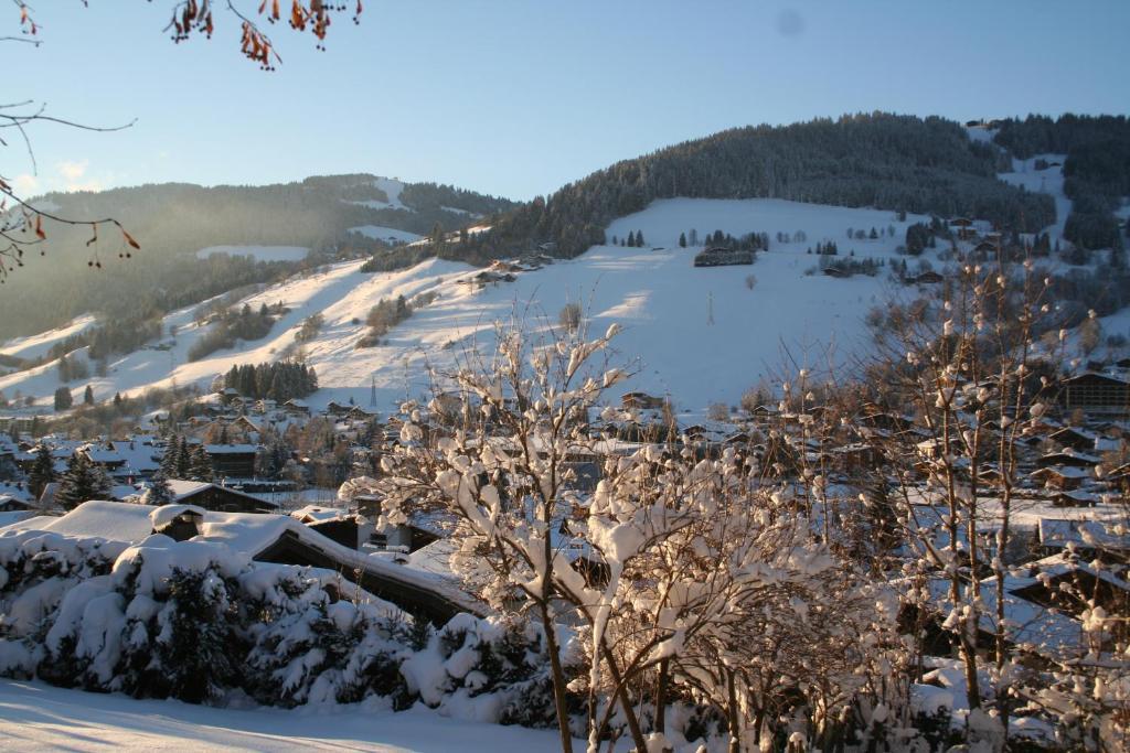 Bed and Breakfast Chalet In Megève Exteriér fotografie